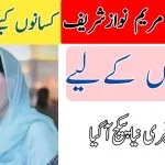 CM Punjab Announces, Major Relief,for Farmer
