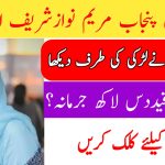 Punjab CM Maryam Nawaz Sharif Bans Illegal Acid Sales to Protect Women