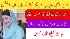 Punjab CM Maryam Nawaz Sharif Bans Illegal Acid Sales to Protect Women
