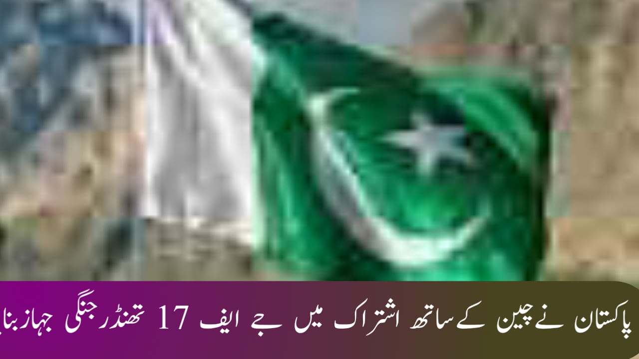 پاکستان نے چین کے ساتھ اشتراک میں جے ایف 17 تھنڈر جنگی جہاز بنایا ہے