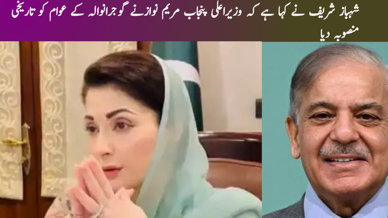 شہباز شریف نے کہا ہے