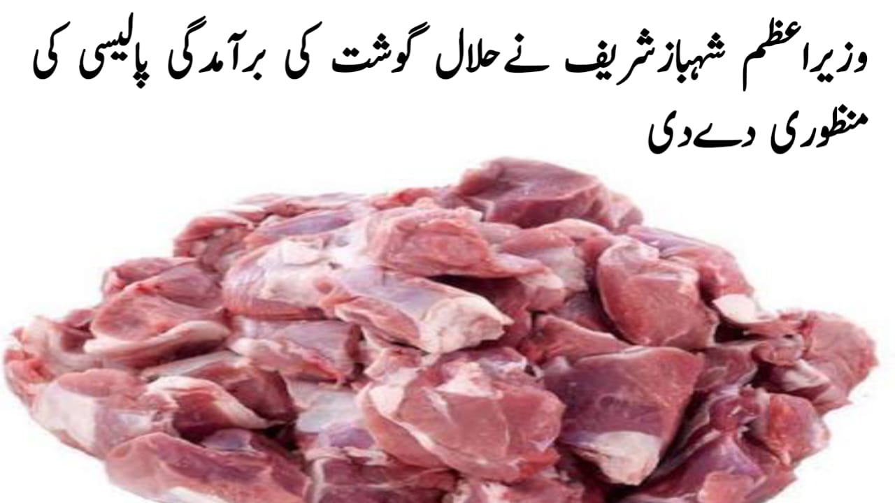 وزیراعظم شہباز شریف نے حلال گوشت کی